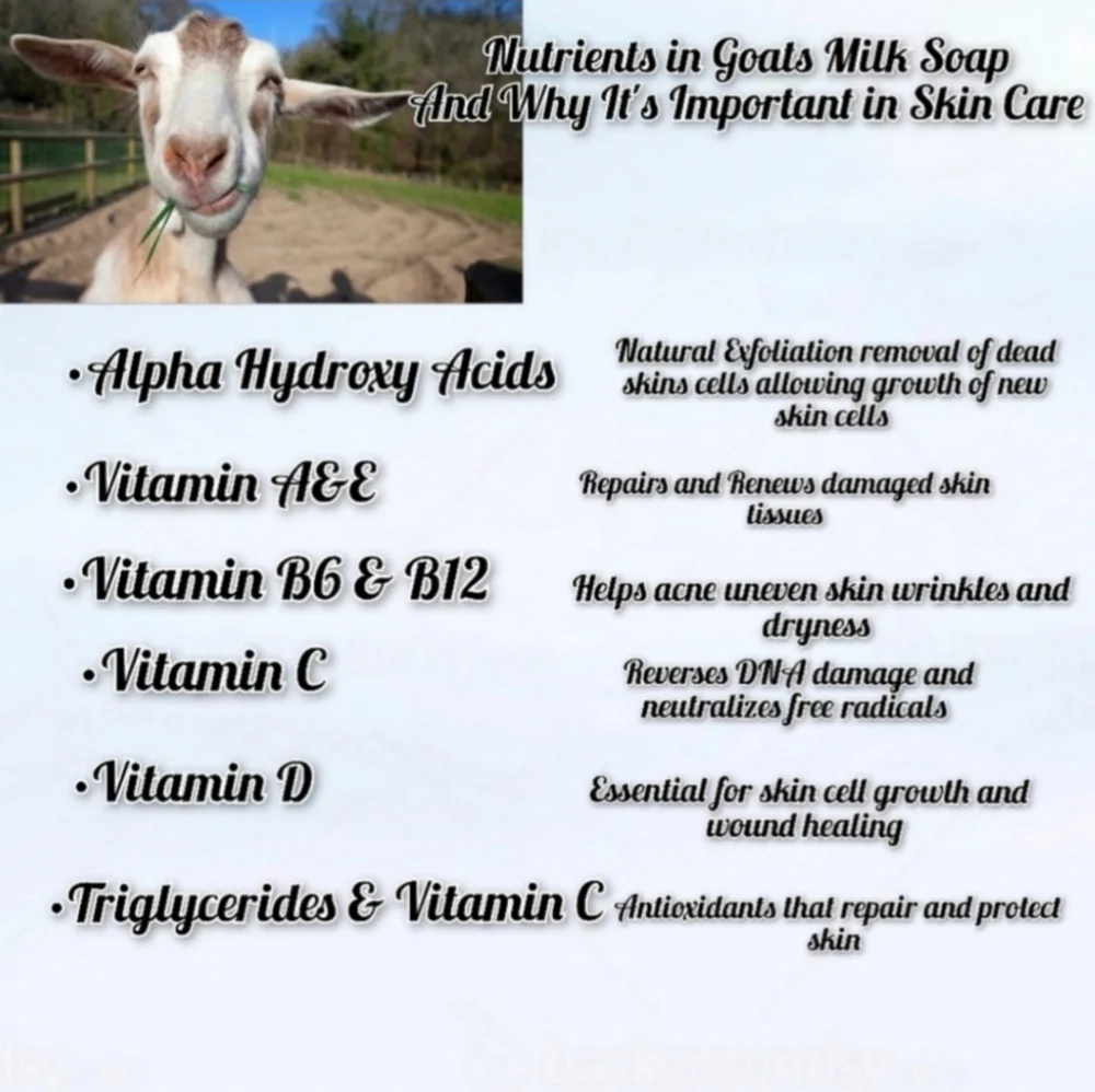 Pineapple Hibiscus GOAT MILK SOAP 1 Bar_9